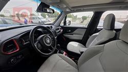 جيب رينيجيد